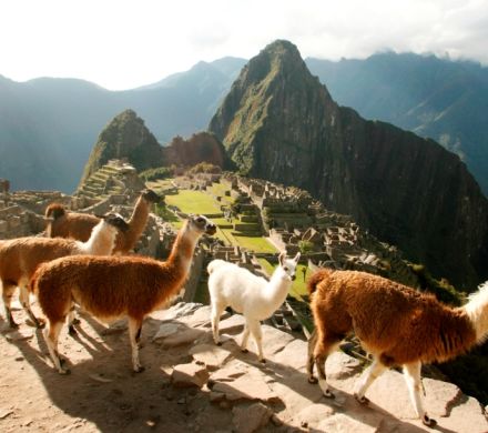 5 días 4 noches: Arica - Machu Picchu - Arica