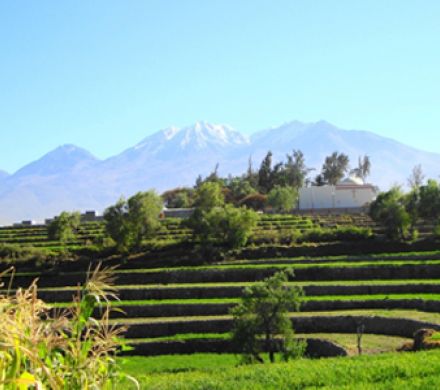 5 días / 4 noches: Arequipa espectacular